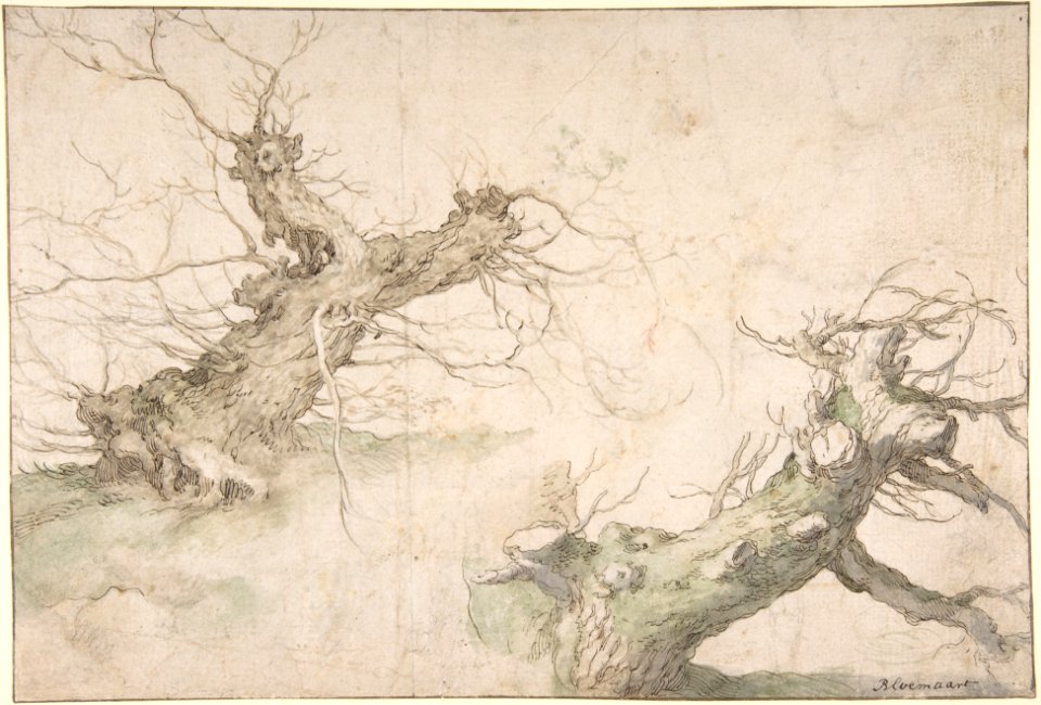 Studies of Two Pollard Willows; Verso- Wide Landscape Prospect MET DP801125