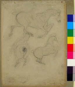 Studies of Horses MET 61.168.2