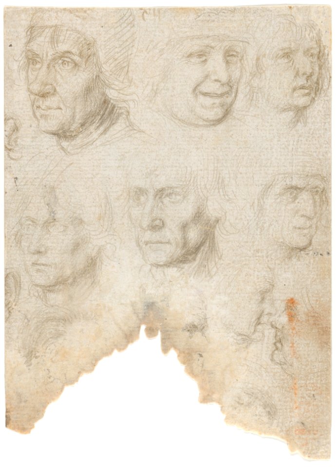 Studies of ten (?) heads and two ears (recto); Studies of three figures and a head (verso) MET DP167069