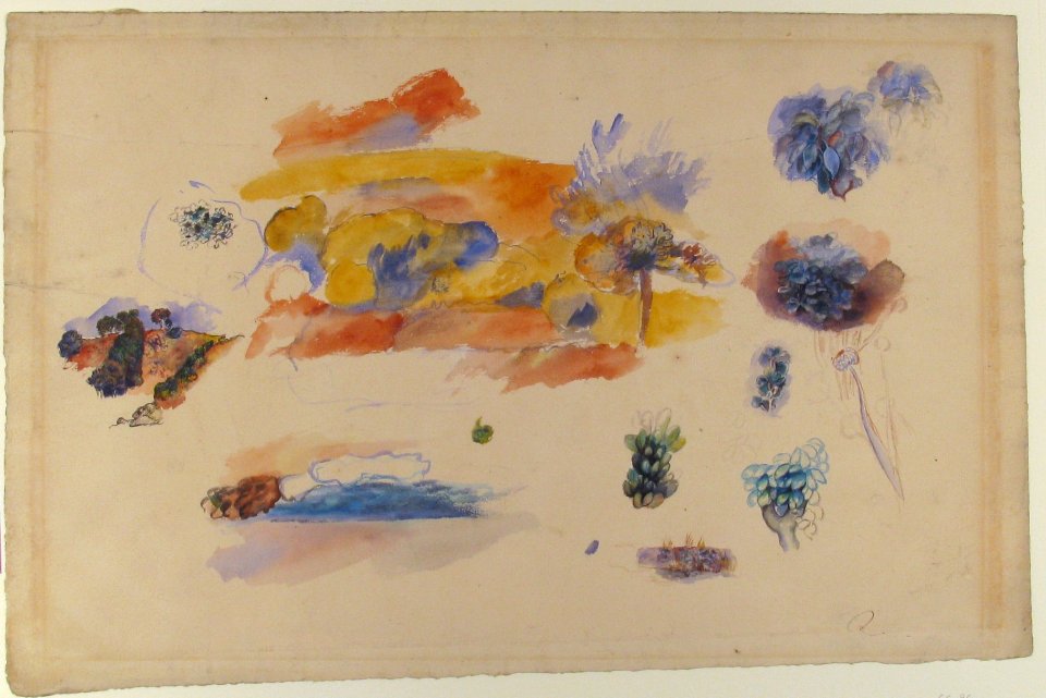 Studies of Landscape, Trees, and Exotic Fruit MET 66.96