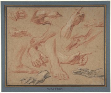Studies of Hands and Feet MET DP807367