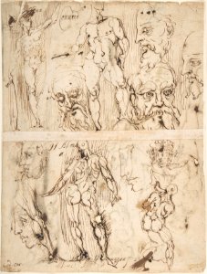 Studies of Nudes and Human Heads (recto and on the verso). MET DP808284