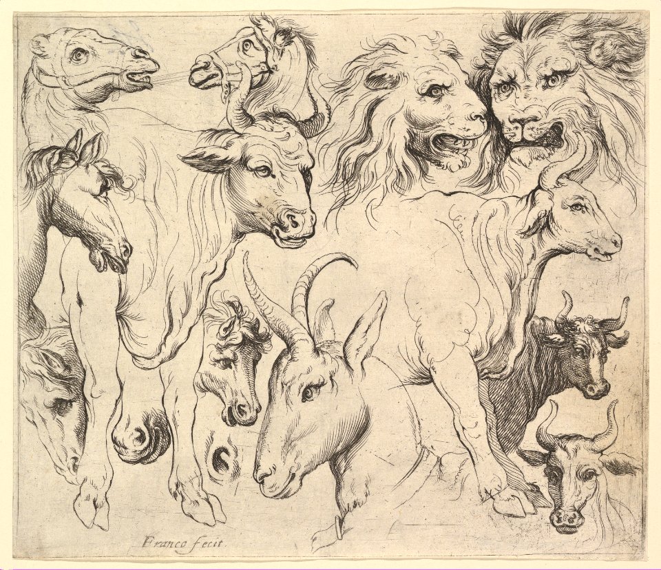 Studies of Heads MET DP819524