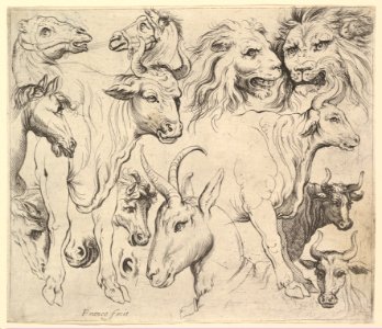 Studies of Heads MET DP819524