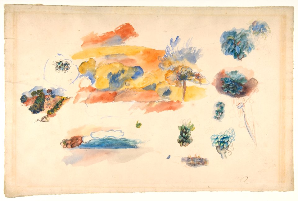 Studies of Landscape, Trees, and Exotic Fruit MET DP812087
