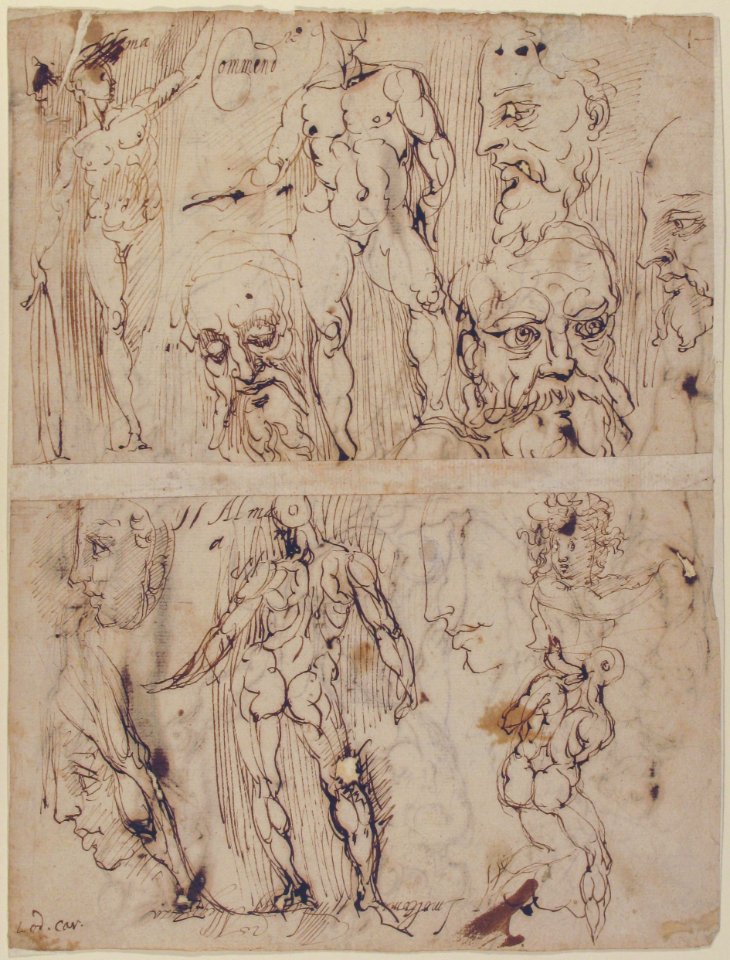 Studies of Nudes and Human Heads (recto and on the verso). MET 54.573.10 RECTO