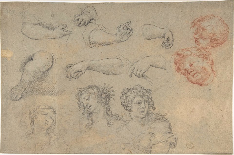 Studies of Heads and Hands MET DP808602