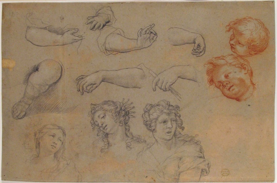 Studies of Heads and Hands MET 87.12.135