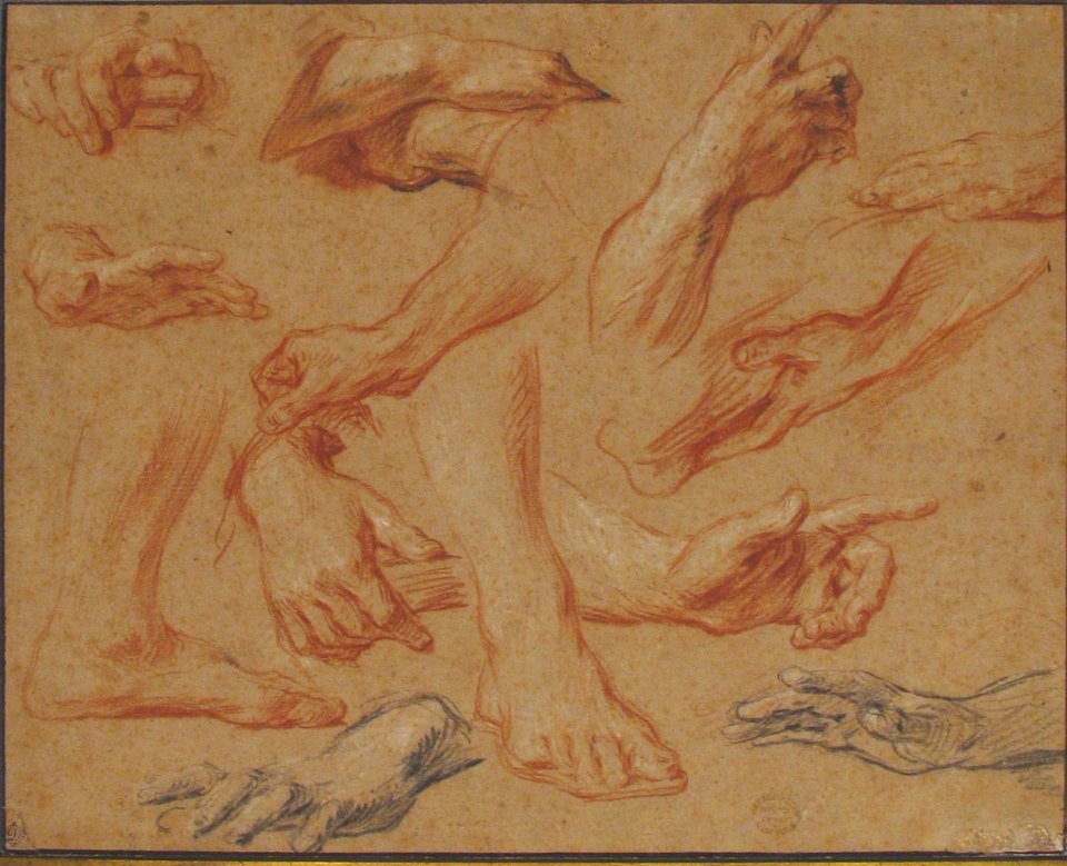 Studies of Hands and Feet MET 06.1042.11
