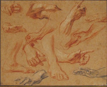 Studies of Hands and Feet MET 06.1042.11