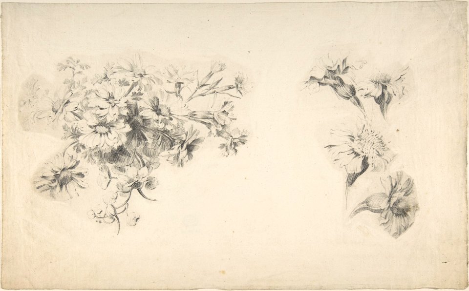 Studies of Flowers MET DP808982