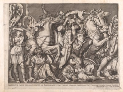 Speculum Romanae Magnificentiae- Battle of the Amazons MET DP870303