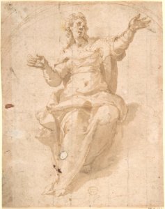 Study for the Ascension of the Virgin MET DP801791