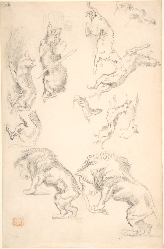 Studies of Animals MET DP805839