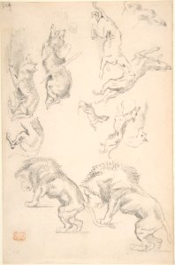 Studies of Animals MET DP805839