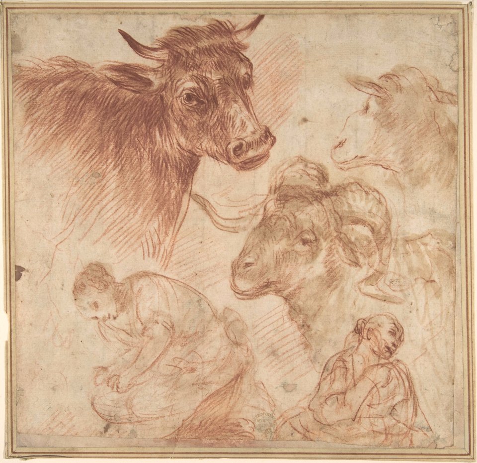 Studies of Animal Heads and Figures MET DP802260