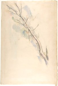 Studies of a tree (recto and verso) MET DP809515