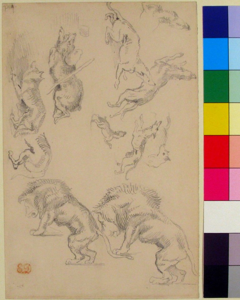 Studies of Animals MET 48.187.744