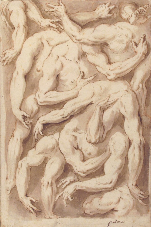 Studies of Arms, Shoulders and Hands MET 1975.131.41