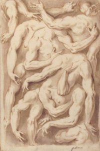 Studies of Arms, Shoulders and Hands MET 1975.131.41