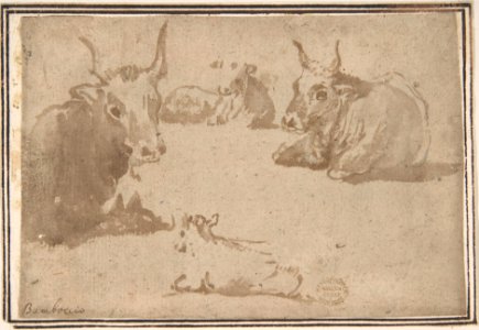 Studies of Cattle MET DP802391