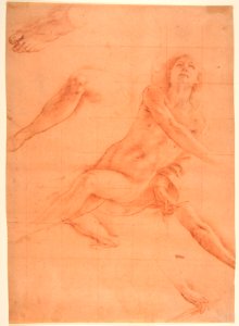 Studies for an Angel in Glory MET DP811840