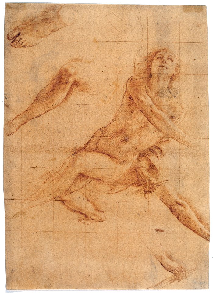 Studies for an Angel in Glory MET 46O 198R3M