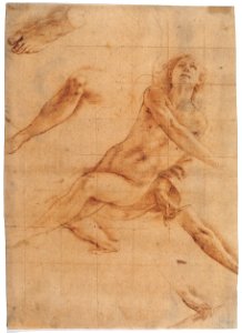 Studies for an Angel in Glory MET 46O 198R3M