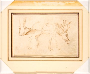Studies of a Stag MET DP811760