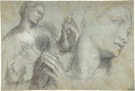 Studies of a Man's Head and of His Hands MET DP800154