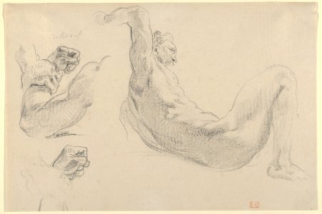 Studies of a Fallen Male Nude for 'Hercules and the Horses of Diomedes' MET DP836021