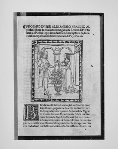 Storia di due amanti (Tale of Two Lovers) MET MM4646