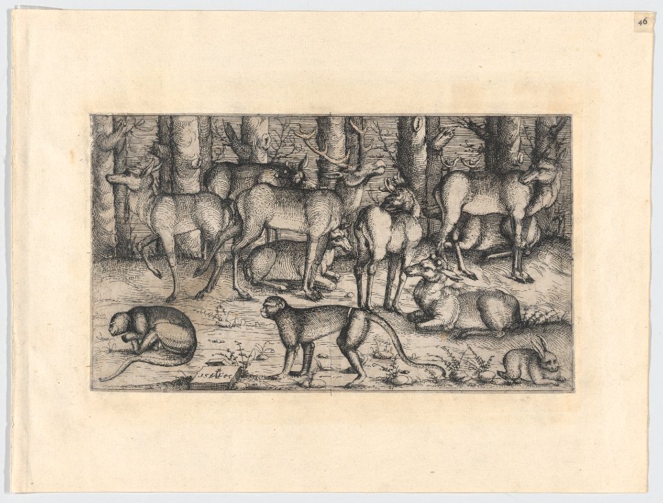 Stags in the Forest MET DP872725