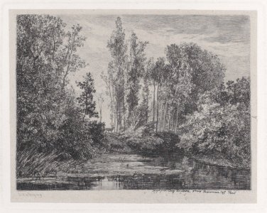 Stags at the Water's Edge Met DP884926