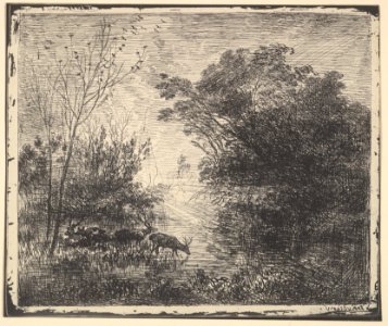 Stags MET DP822383