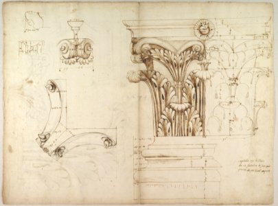 St. Peter's, Corinthian capital, elevation; base, elevation; volute, end elevation, profile, and view from below (recto) St. Peter's, Corinthian capital, acanthus leaf details and profiles of two cornice mouldings (verso) MET DP819024