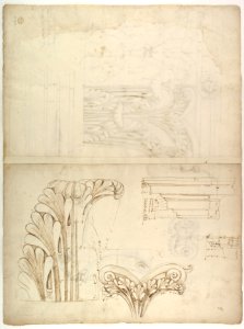St. Peter's, Corinthian capital, elevation; base, elevation; volute, end elevation, profile, and view from below (recto) St. Peter's, Corinthian capital, acanthus leaf details and profiles of two cornice mouldings (verso) MET DP819025