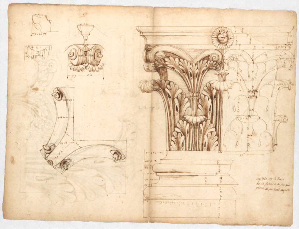 St. Peter's, Corinthian capital, elevation; base, elevation; volute, end elevation, profile, and view from below (recto) St. Peter's, Corinthian capital, acanthus leaf details and profiles of two cornice mouldings (verso) MET DP247296