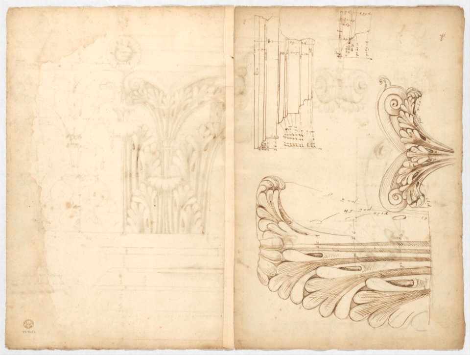 St. Peter's, Corinthian capital, elevation; base, elevation; volute, end elevation, profile, and view from below (recto) St. Peter's, Corinthian capital, acanthus leaf details and profiles of two cornice mouldings (verso) MET DP247297