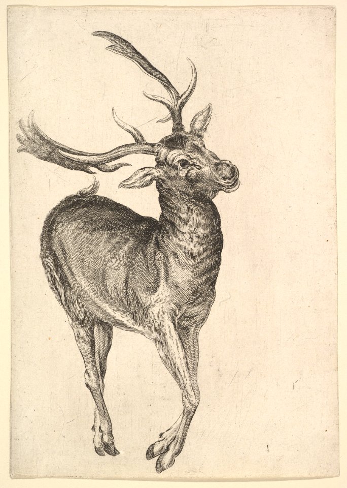 Stag MET DP823950