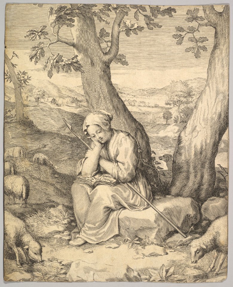St. Genevieve MET DP822301