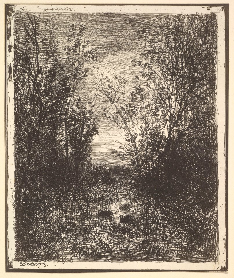 Stream in a Clearing MET DP822380