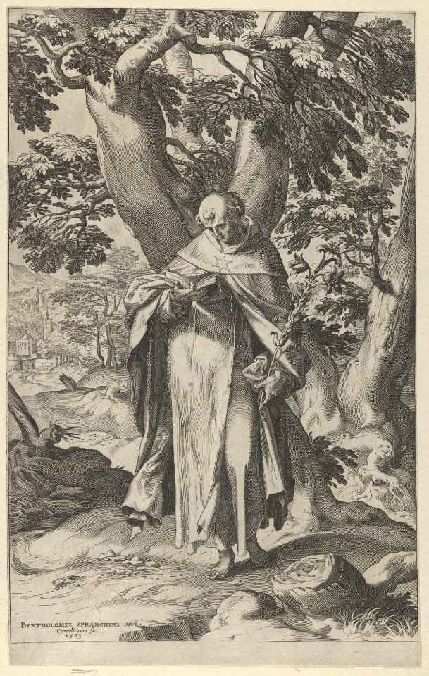 St Dominic Reading MET DP836545