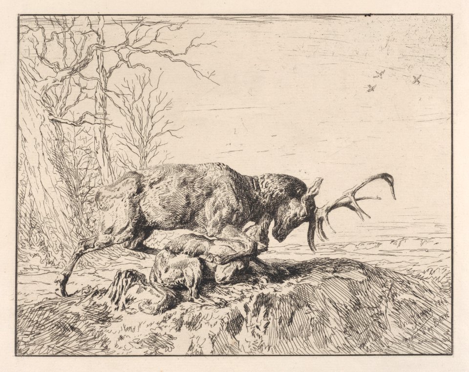Stag Fighting a Wolf, after Antoine Louis Barye Met DP887230