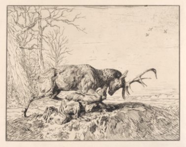 Stag Fighting a Wolf, after Antoine Louis Barye Met DP887230