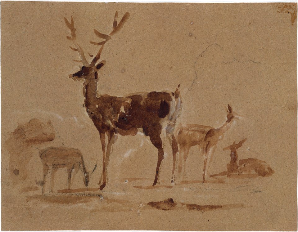 Stag and Its Young MET DT9829