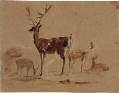 Stag and Its Young MET DT9829