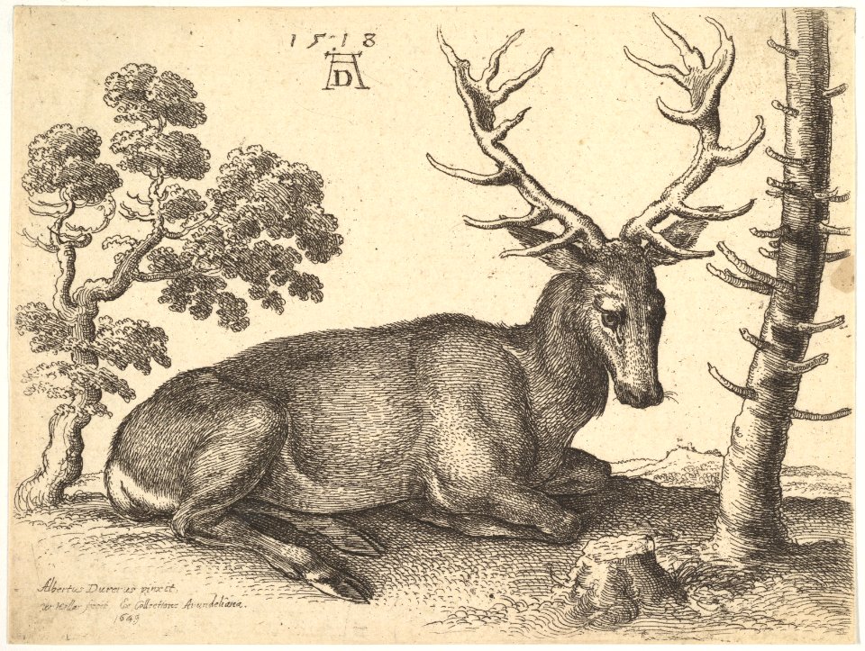 Stag lying to right MET DP828247