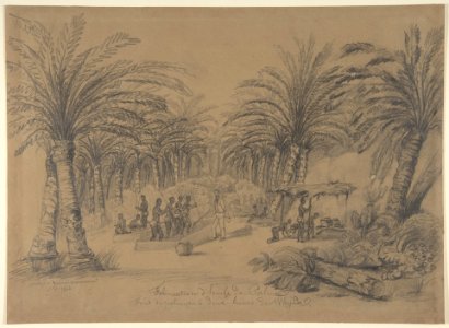 The Production of Palm Oil MET DP809147