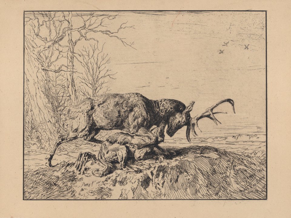 Stag Fighting a Wolf, after Antoine Louis Barye Met DP887232